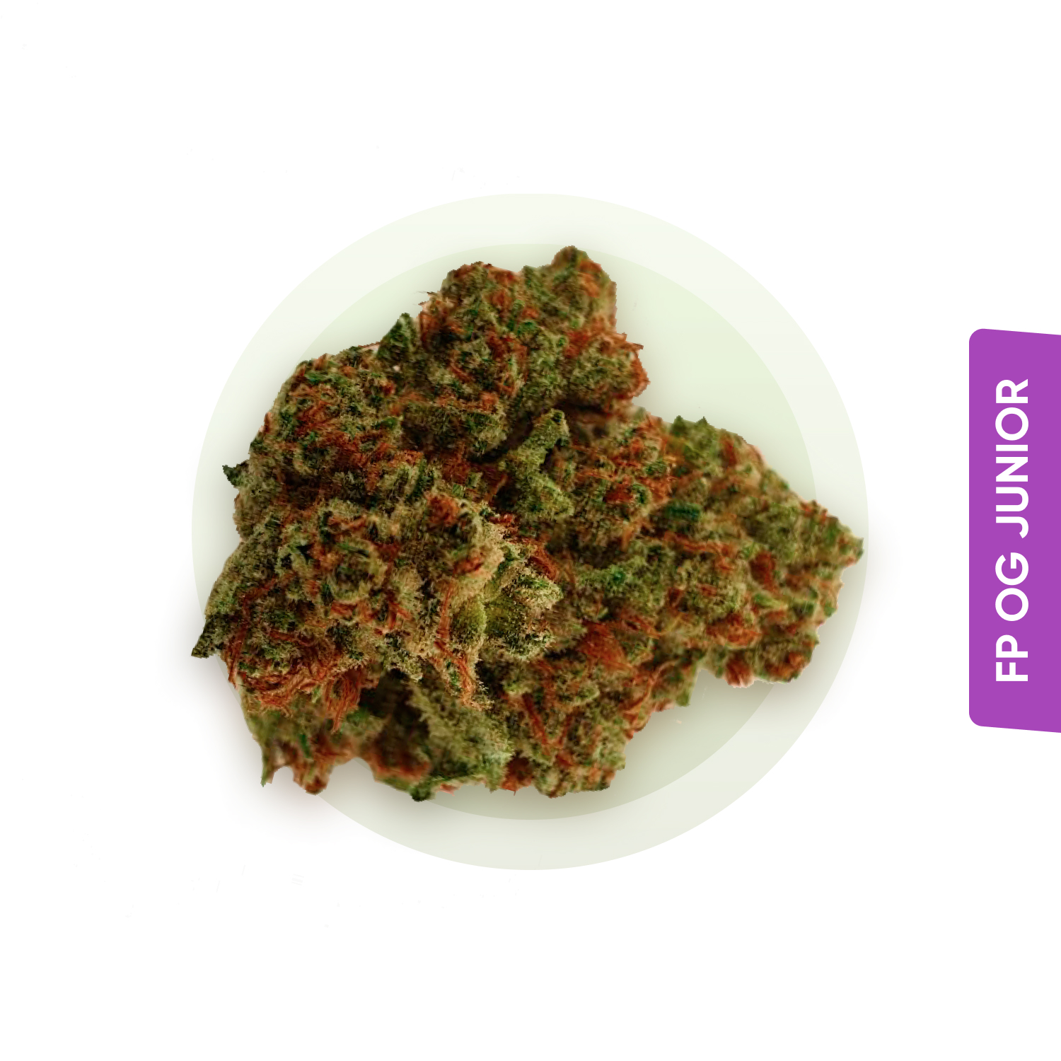 FP OG Junior strain
