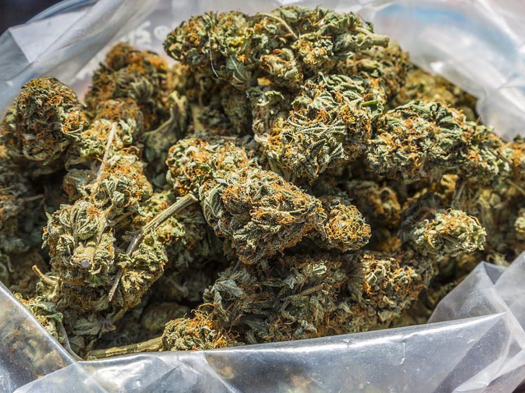 Marijuana Buds vs. Marijuana Extract