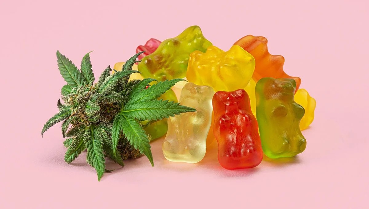 Gummy Bears #1